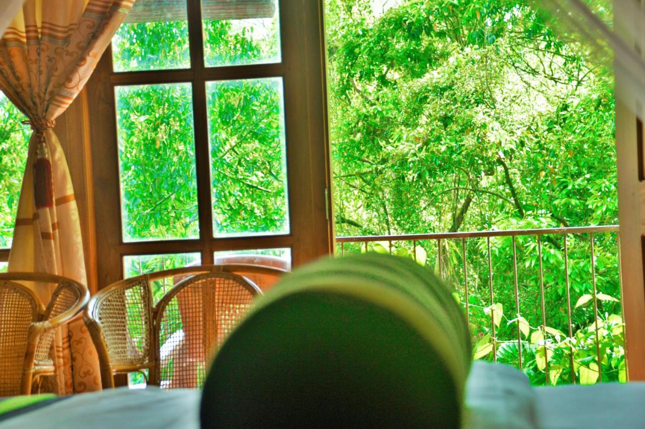 Green Cottage Ella Luaran gambar