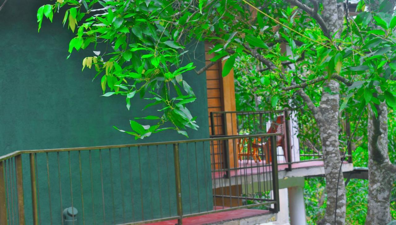 Green Cottage Ella Luaran gambar