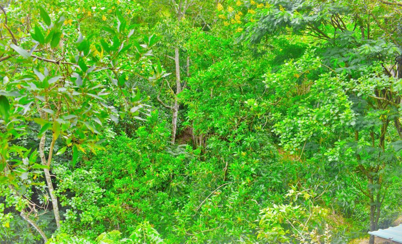 Green Cottage Ella Luaran gambar
