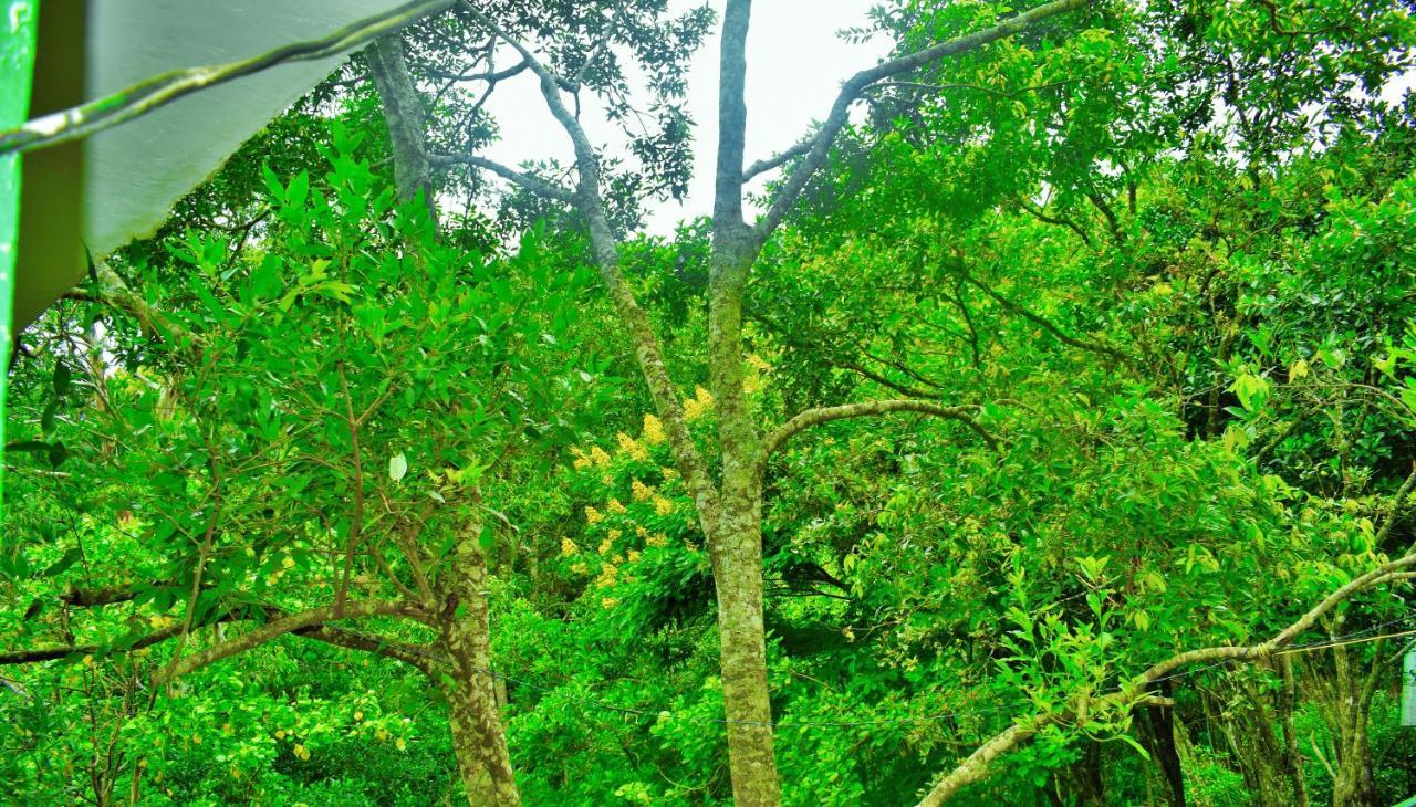 Green Cottage Ella Luaran gambar