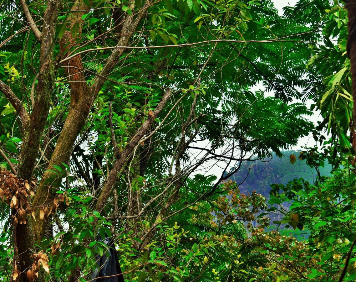 Green Cottage Ella Luaran gambar