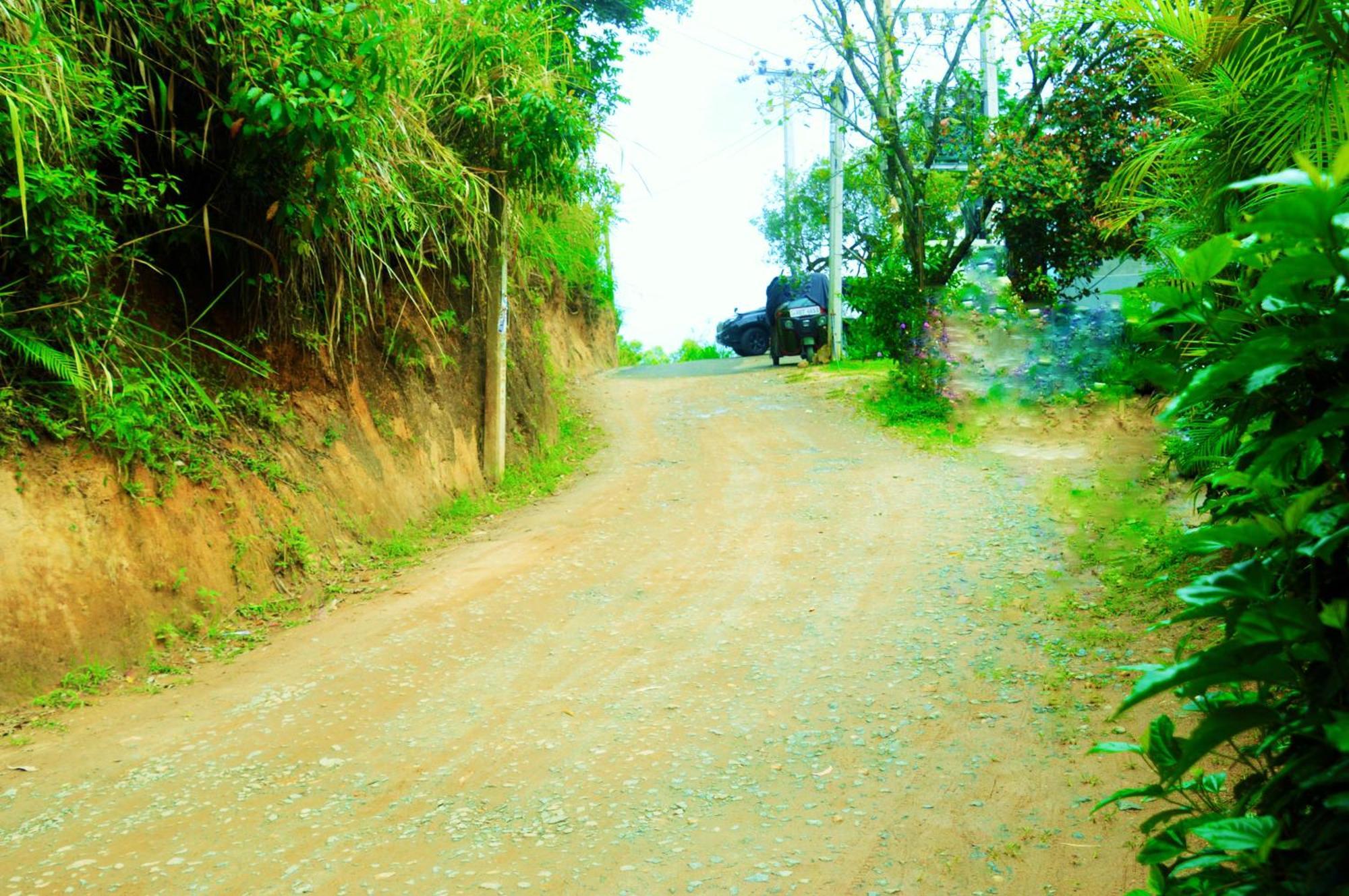 Green Cottage Ella Luaran gambar